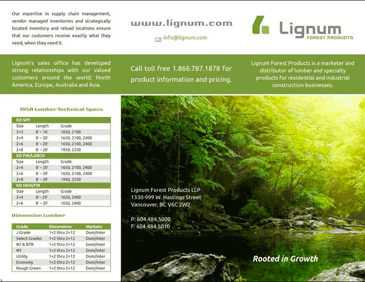 Lignum Ad Design