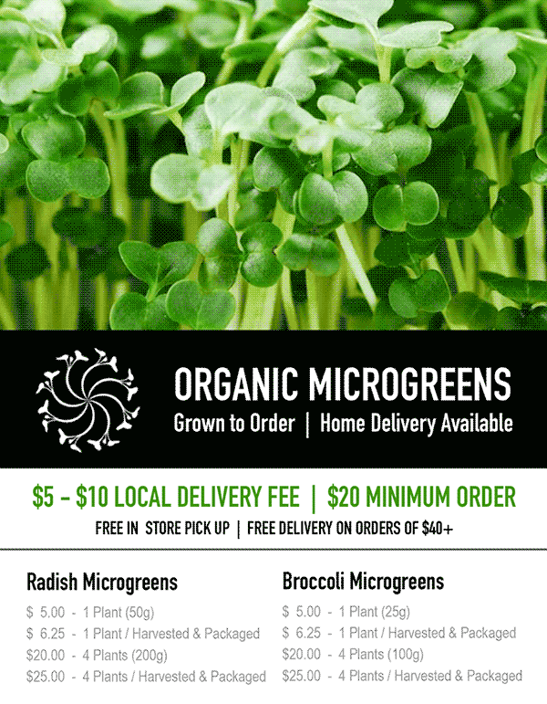 Organic Microgreens Ad Design