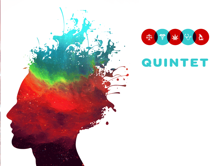 Quintet Pitch Deck Design